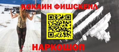крисы Кингисепп