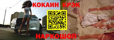 крисы Кингисепп