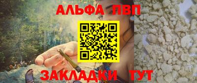 крисы Кингисепп