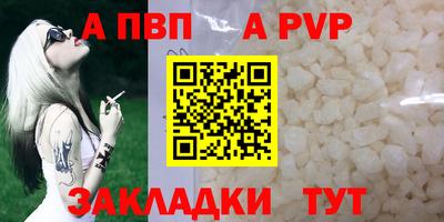 крисы Кингисепп