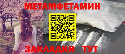 крисы Кингисепп