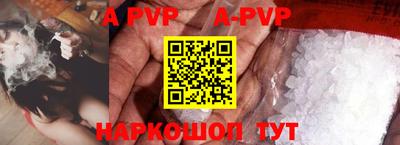 крисы Кингисепп
