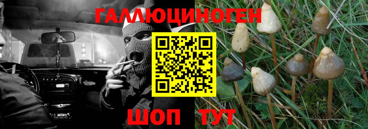 закладка  Вход с VPN  Урай  Галлюциногенные грибы Psilocybe 